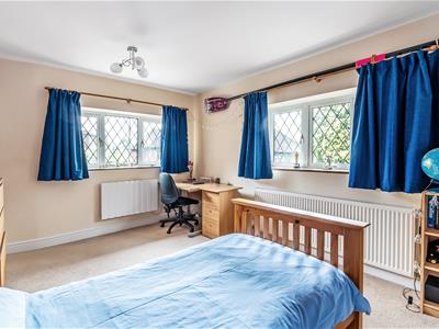 Picture 20